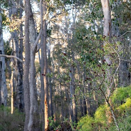 Jarrah Grove Forest Retreat - Adults Only Luxury Chalet Rosa Glen Exteriör bild