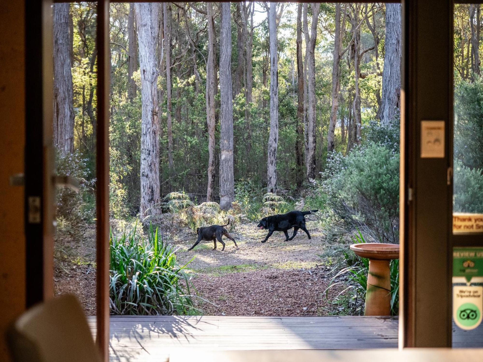 Jarrah Grove Forest Retreat - Adults Only Luxury Chalet Rosa Glen Exteriör bild