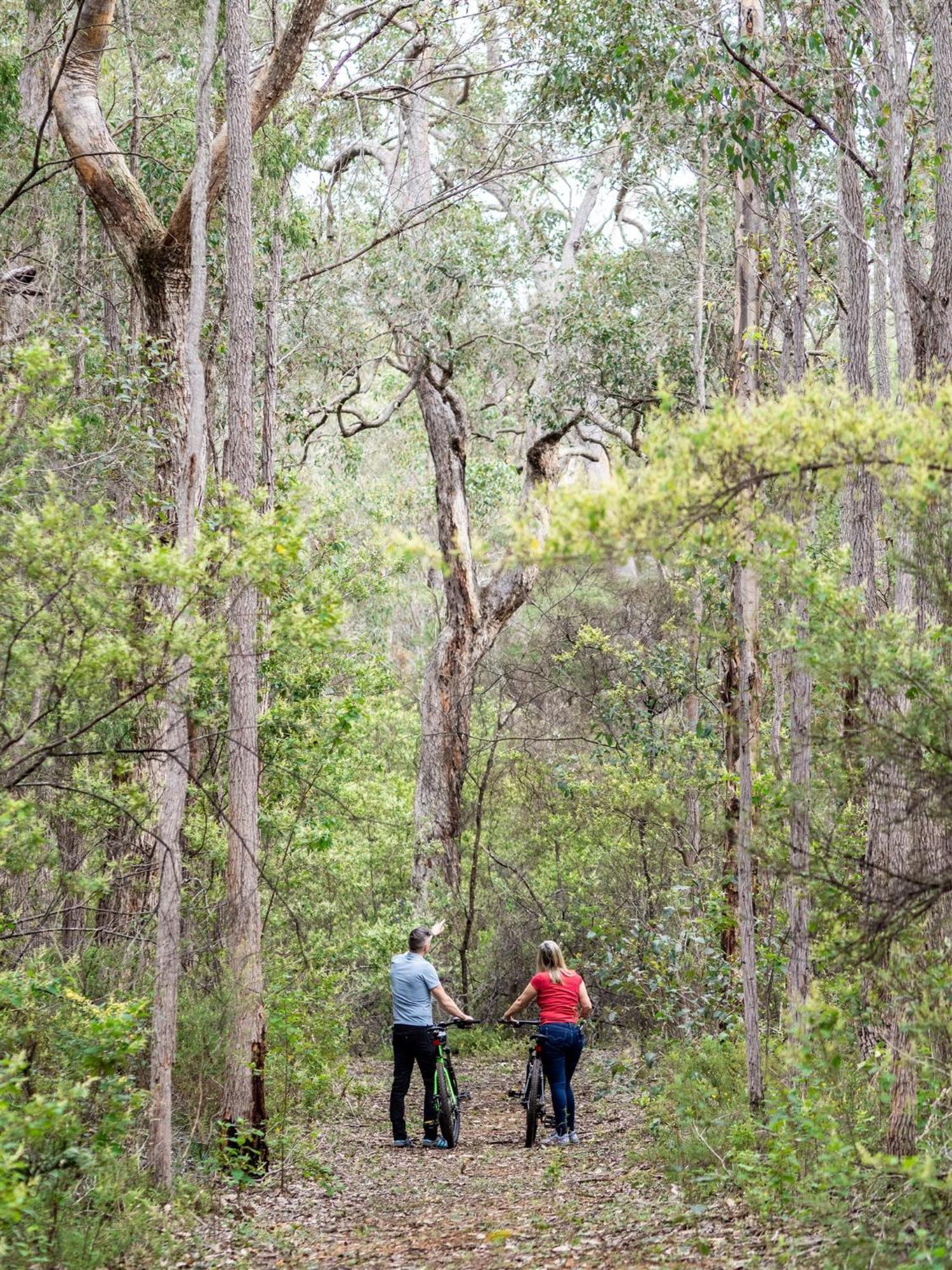 Jarrah Grove Forest Retreat - Adults Only Luxury Chalet Rosa Glen Exteriör bild